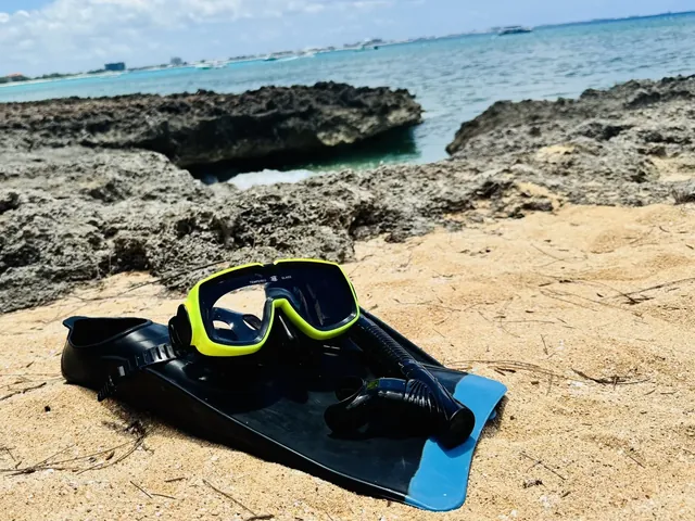 Adults Snorkel Gear Set